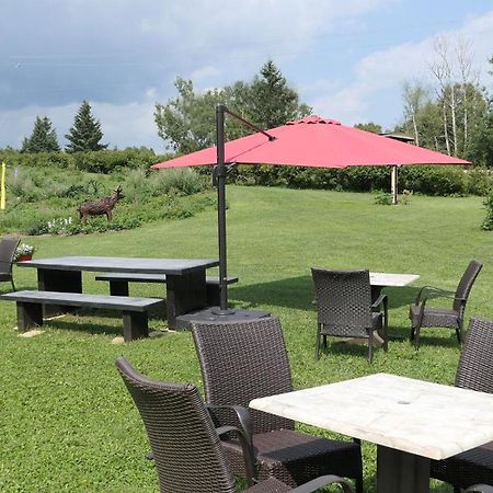 Auberge La Daina Байе-Сен-Пол Екстериор снимка